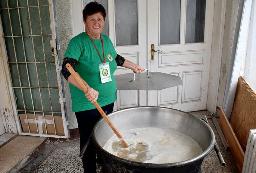Više tisuća planinara i drugih posjetitelja okupilo se u Kutjevu na tradicionalnoj proslavi Martinja u Kutjevu /FOTOGALERIJA)