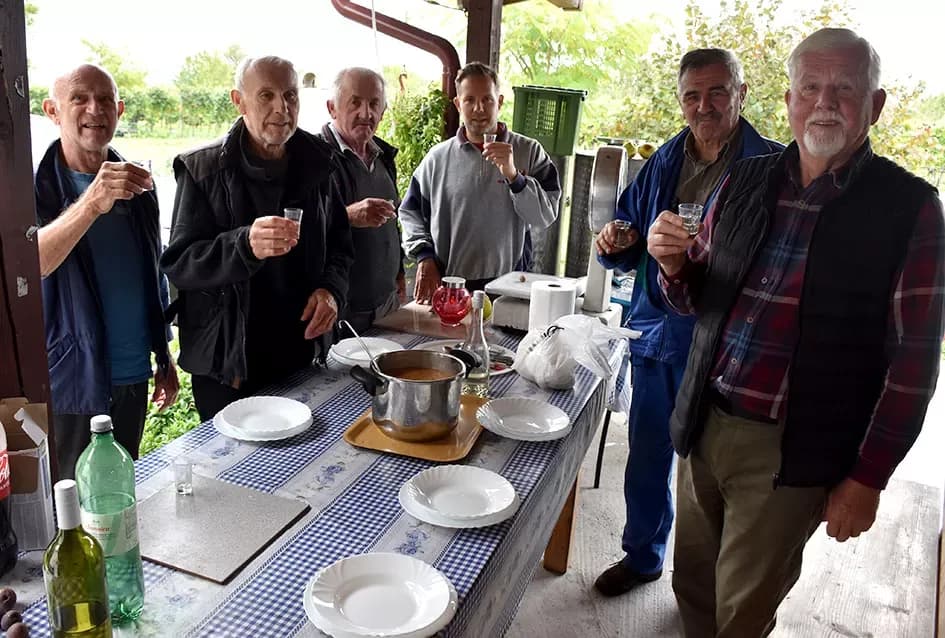 Uz graševinu u vinogradu Bože Bokšića je i petnaestak sorti stolnog grožđa