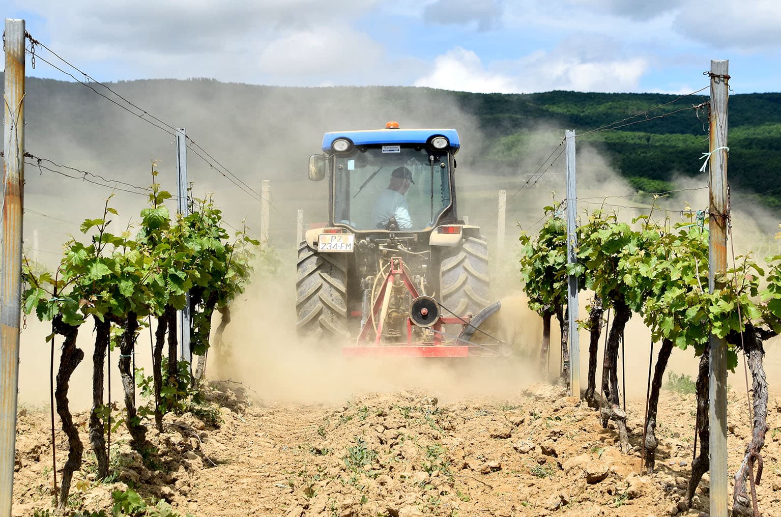 Inovacija u venjskim vinogradima: Brezine olakšale plijevljenje vlastitim strojem