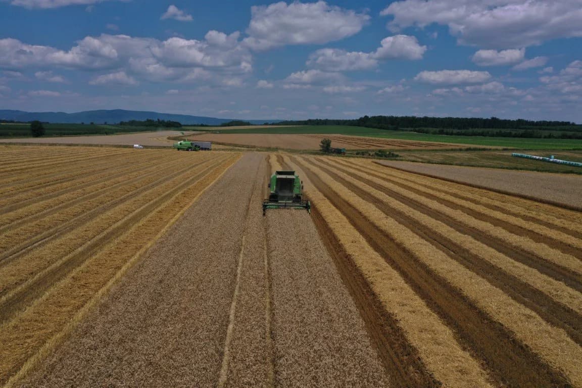 [FOTO-VIDEO] Kombajni u žitnim poljima diljem Požeštine: Love svaku zraku sunca koja je itekako potrebna