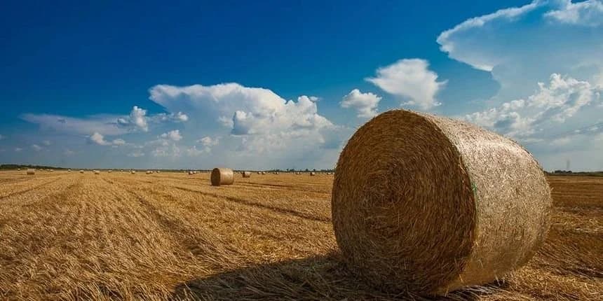 Još danas stignete u Gradu Kutjevu prijaviti štete na objektima i poljoprivrednim površinama