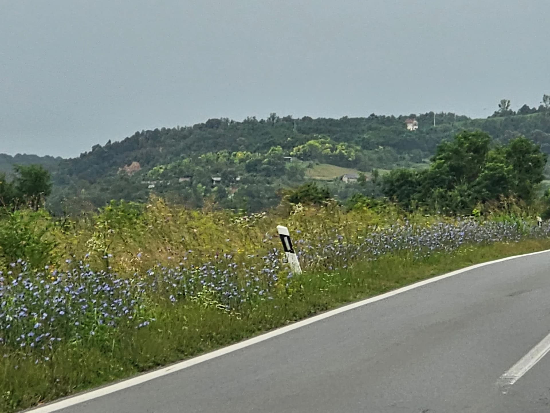 Dobrodošlicu vam žele Hrvatske ceste sa visokom travom i korovom na ulazu u grad Požegu i na područje općine Jakšić /FOTO/
