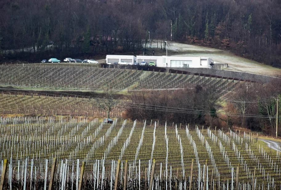 [FOTOGALERIJA] Vinogradarska godina dala manji urod, a bolji kvalitet vina- 2023. se očekuje uz produženu vegetaciju