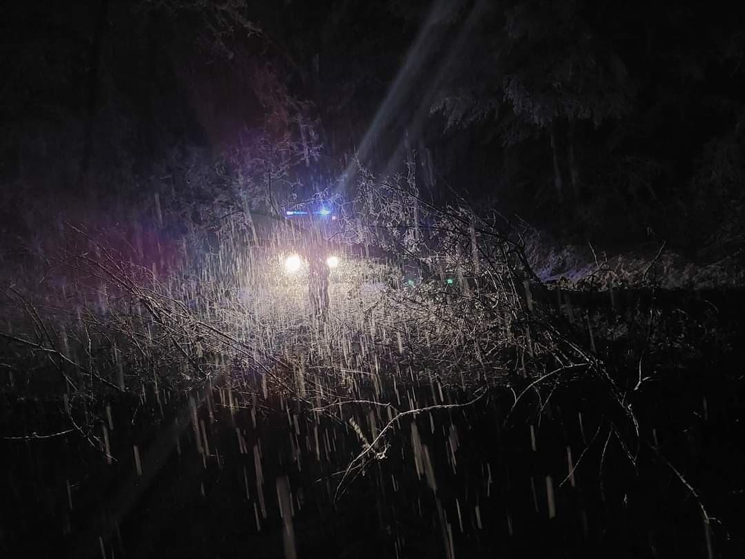 Požeški vatrogasci uklanjali stabla s prometnica