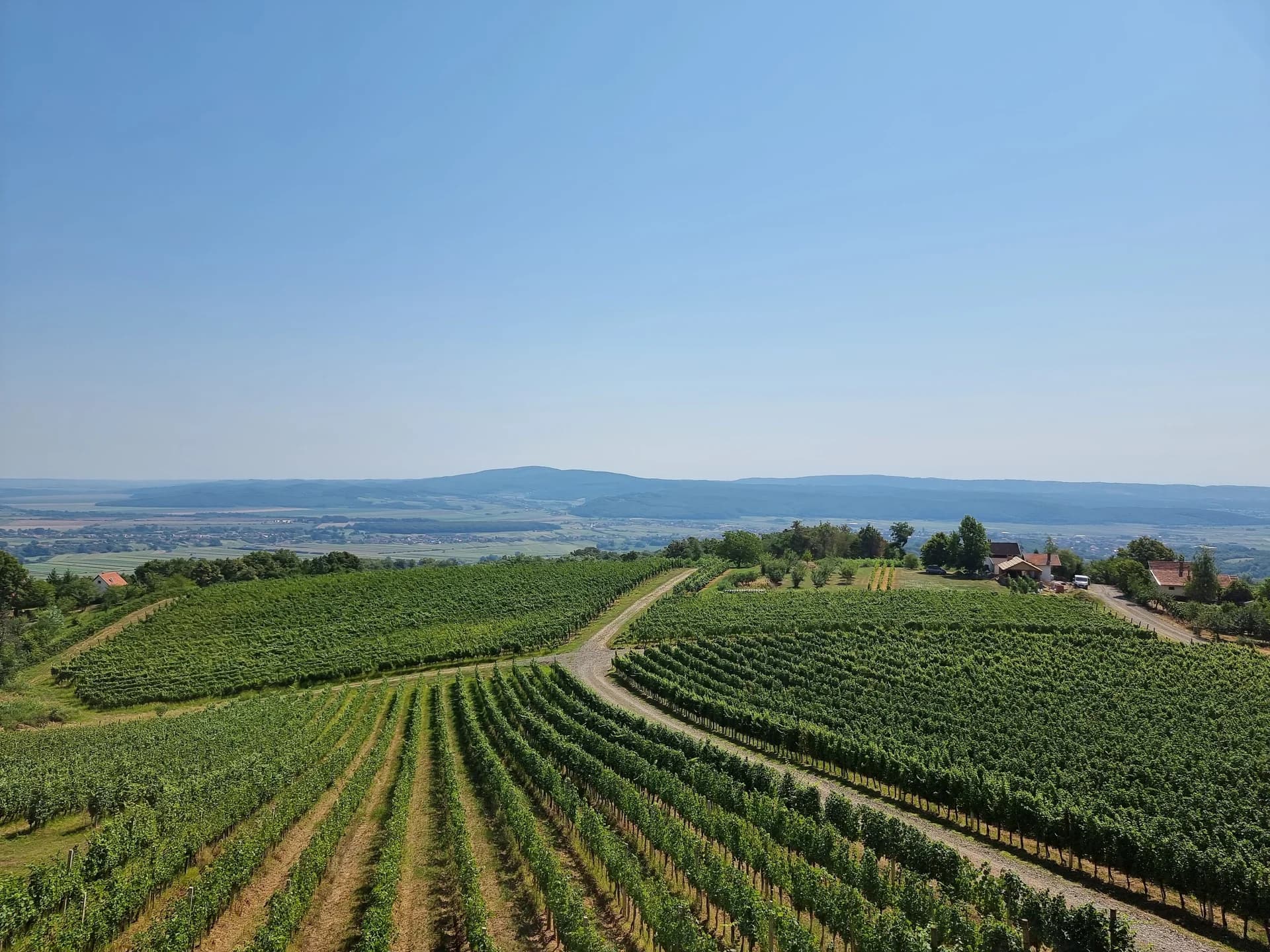 Neki će "bajko" ukradene stupove stavljati u svoj vinograd