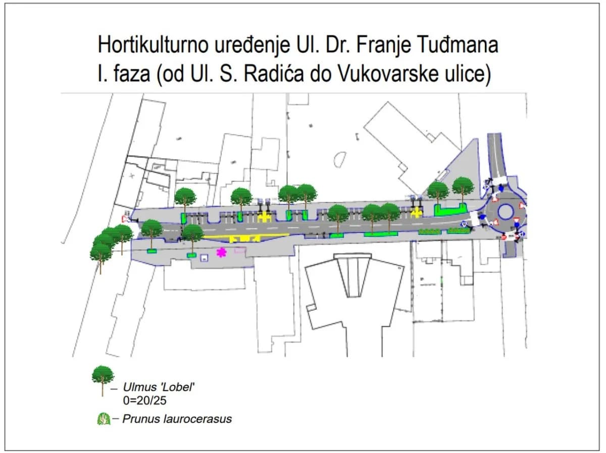 Uklanjanje postojećih stabala u Ulici dr. Franje Tuđmana