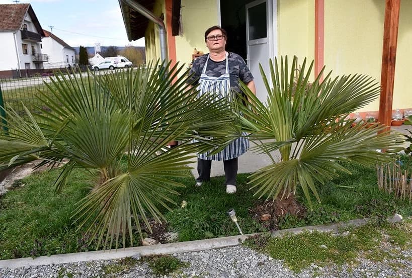 Slikanjem i okružena cvijećem „liječi dušu“ /FOTO/