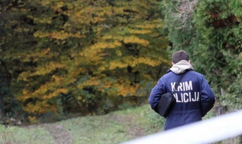 Posjekao i ukrao nekoliko stabala graba i bukve