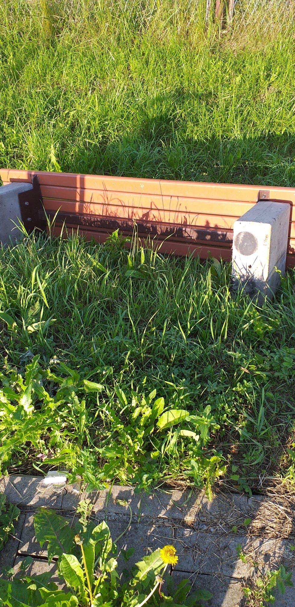 Kome je smetala klupa na šetnici uz Veličanku?