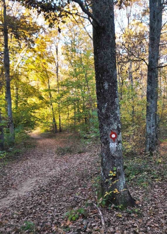 Tijekom markacističkog izleta članovi Sokolovca obilježili staze na Požeškoj gori