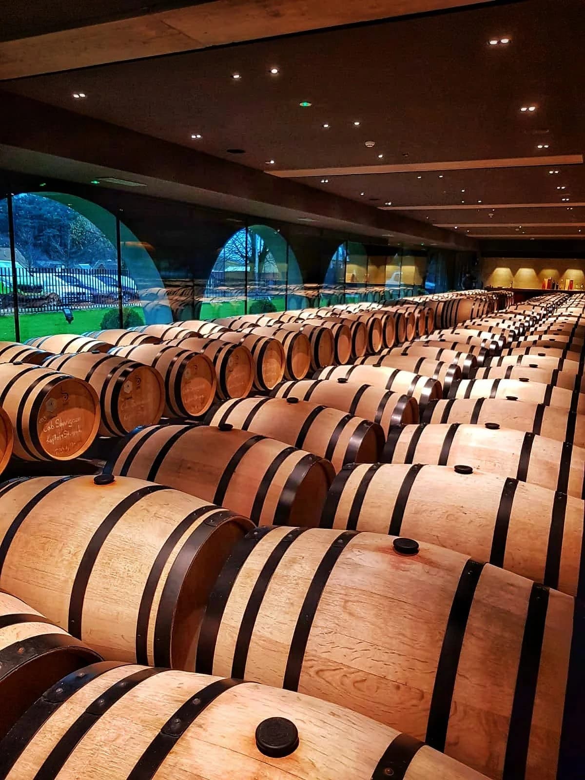 Studenti očarani izgledom vinarije Galić: "Ovo izgleda kao svemirski brod" /FOTO/