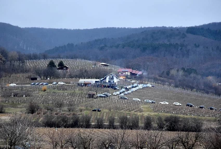 Gosti iz svih krajeva Hrvatske slavili sv. Vinka na Mačevom brdu kod dr. Branka Mihalja /FOTOGALERIJA/