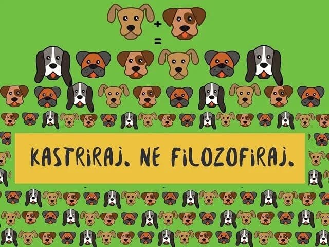 Nastavlja se s program sufinanciranja kastracije i mikročipiranja