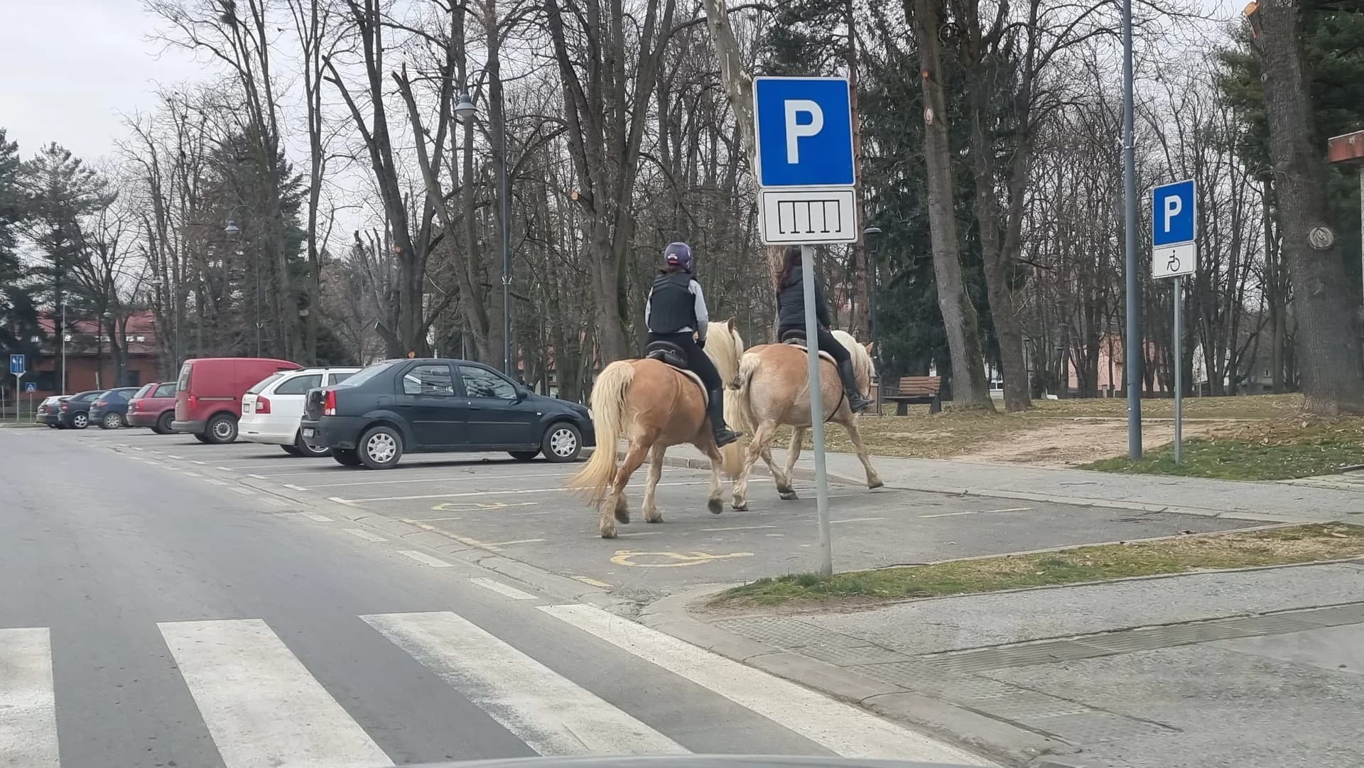 Lagano korakom kroz park: Jahačice u Pleternici oživljavaju sjećanja i tradiciju /FOTO/