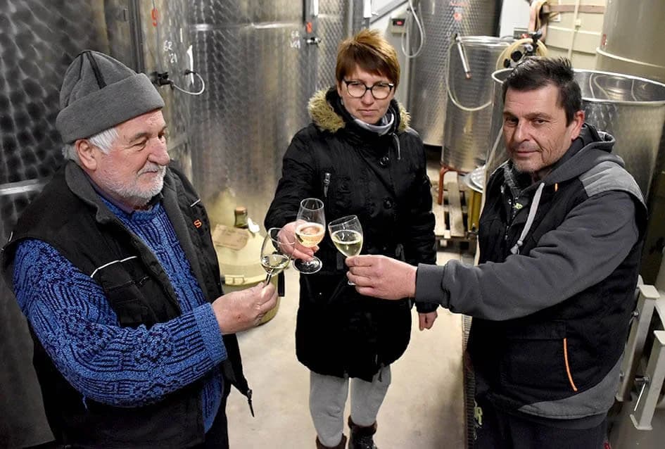 VINOGRADARSTVO I VINARSTVO OBITELJI BODEGRAJAC IZ KUTJEVA: Uspješno prevladali pandemiju Covida 19, vjeruju da će preživjeti i Ukrajinu /FOTO/