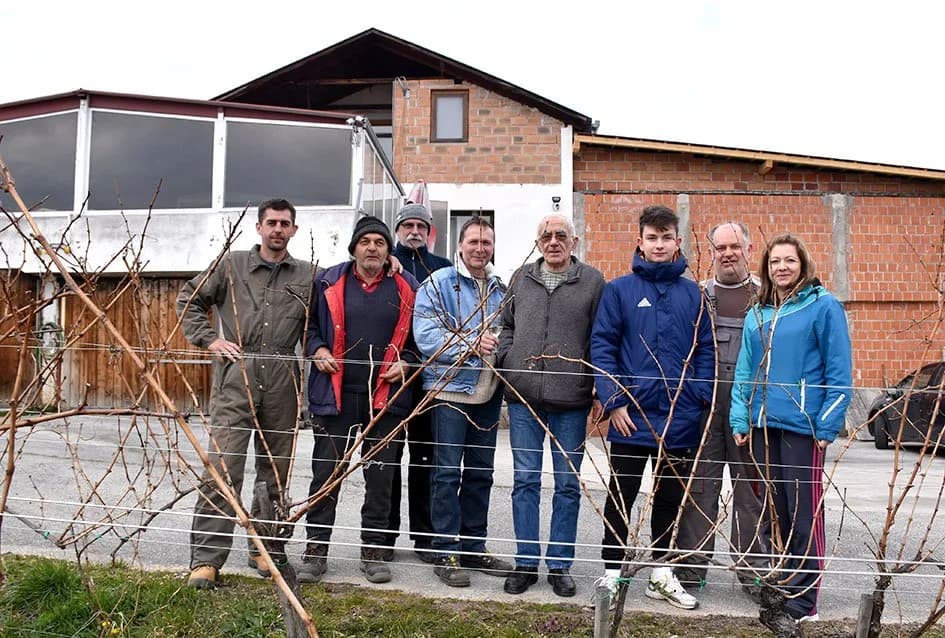 Završetak rezidbe razlog za slavlje /FOTO/