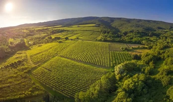 Jačanje ponude i proširenje sadržaja – koraci za bolji kontinentalni turizam