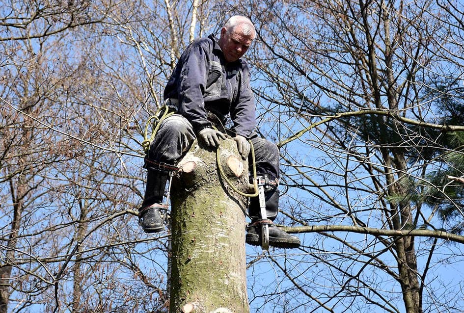 Komunalci koji su opravdali svoje postojanje /FOTO/