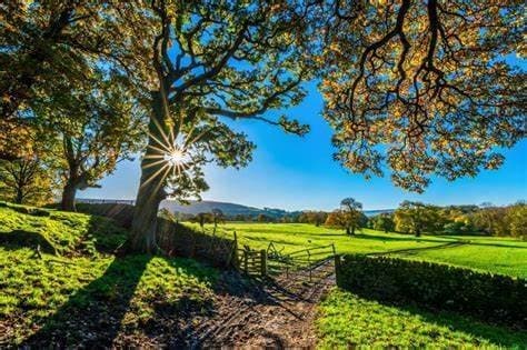 Idućih dana postupno sve toplije vrijeme, dnevne temperature veće od 20°C