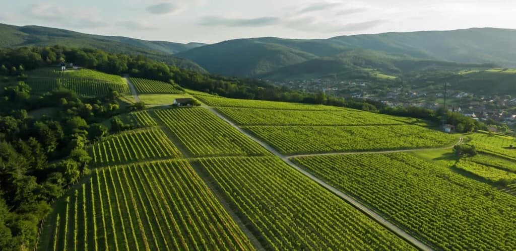Grad Kutjevo rekorder izdvajanja za poljoprivredu