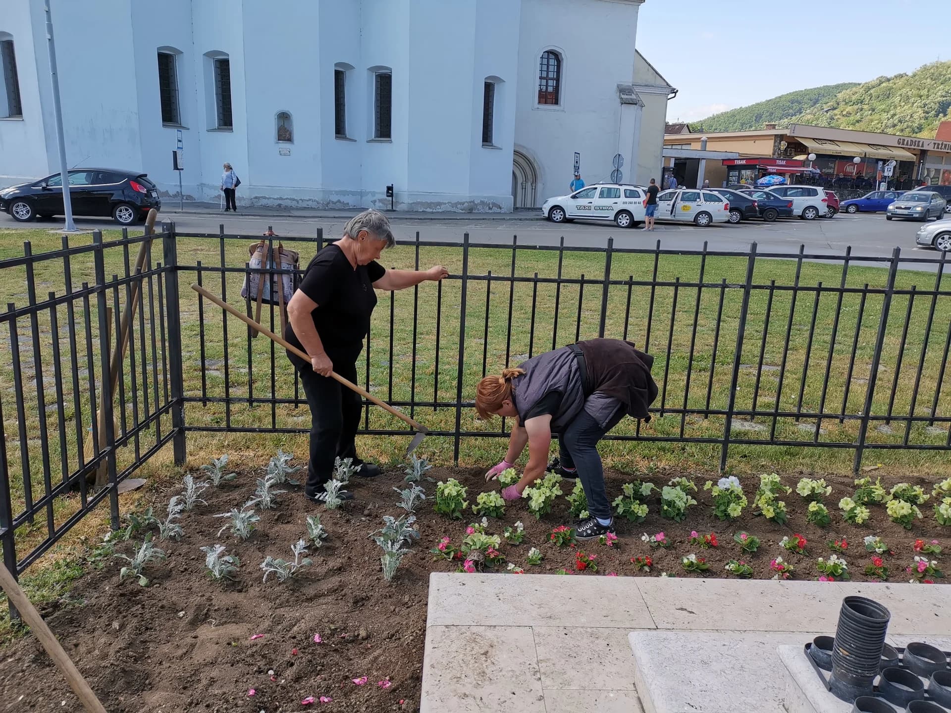 Pune ruke posla za požeški Komunalac: Započela sadnja 12 tisuća ljetnica na zelenim površinama