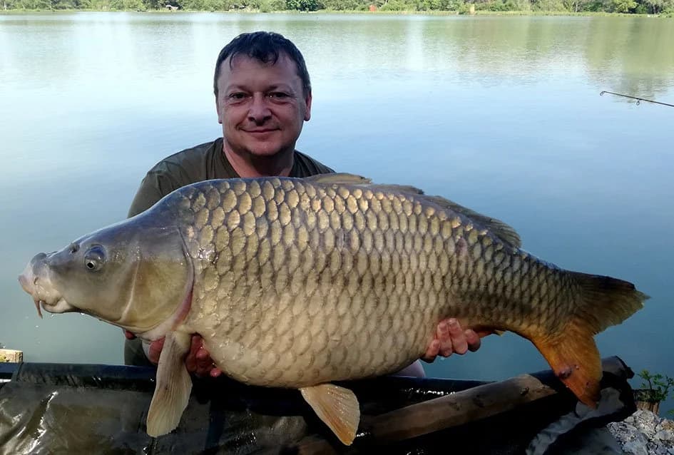 Lovili trofejne šarane, najveći 23 kilograma