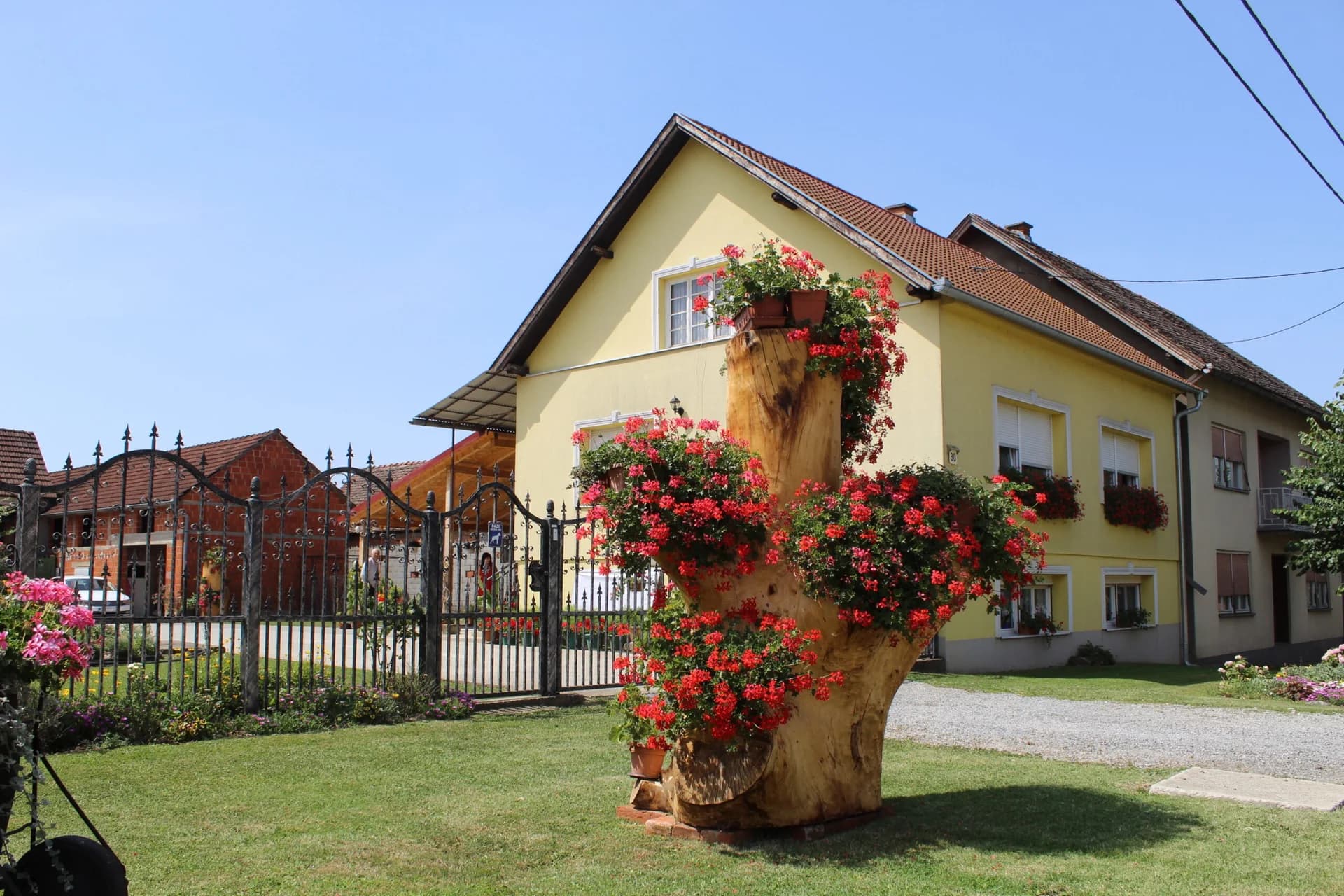 Željka Holjevac iz Svilne ima najljepšu okućnicu na području grada Pleternice /FOTO/