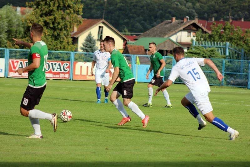 Treće mjesto Zelenih u Pleternici