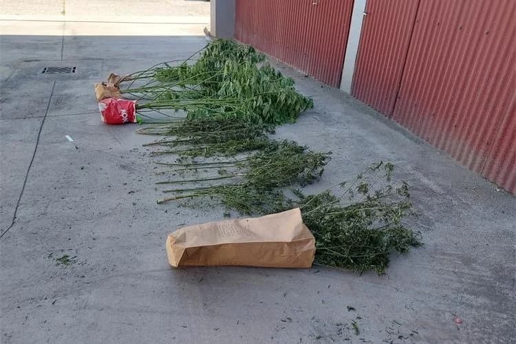 Policijski službenici kod dvojice muškaraca pronašli stabljike marihuane