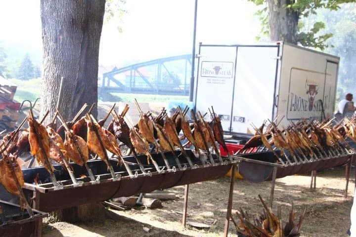 Zlatni lug i Zlatne žice Slavonije: Tradicija, glazba i vrhunski gastro specijaliteti