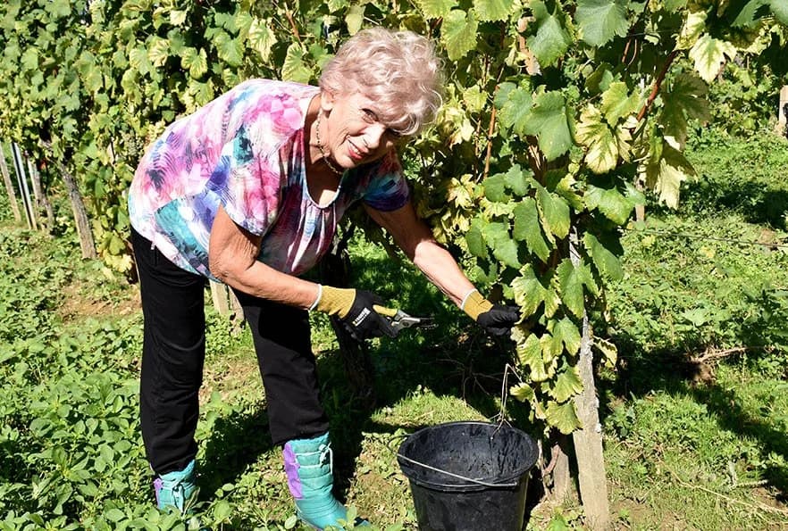 KAPTOLAČKI UMIROVLJENICI NA DJELU: Pomažu jedni drugima /FOTO/