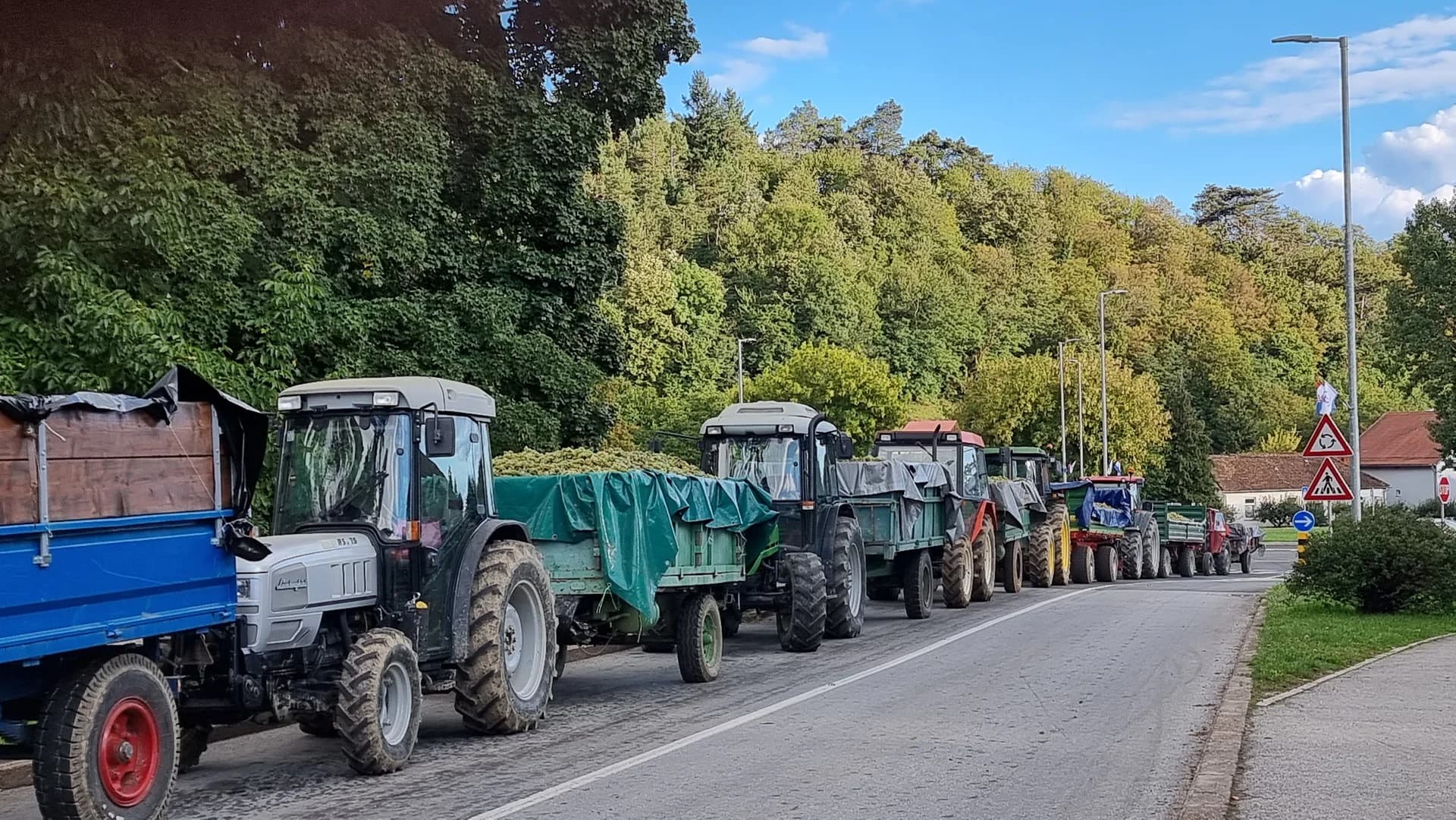 Kao u dobra stara vremena: Vinogradari u koloni čekaju na istovar i predaju slasnih bobica grožđa /FOTO/