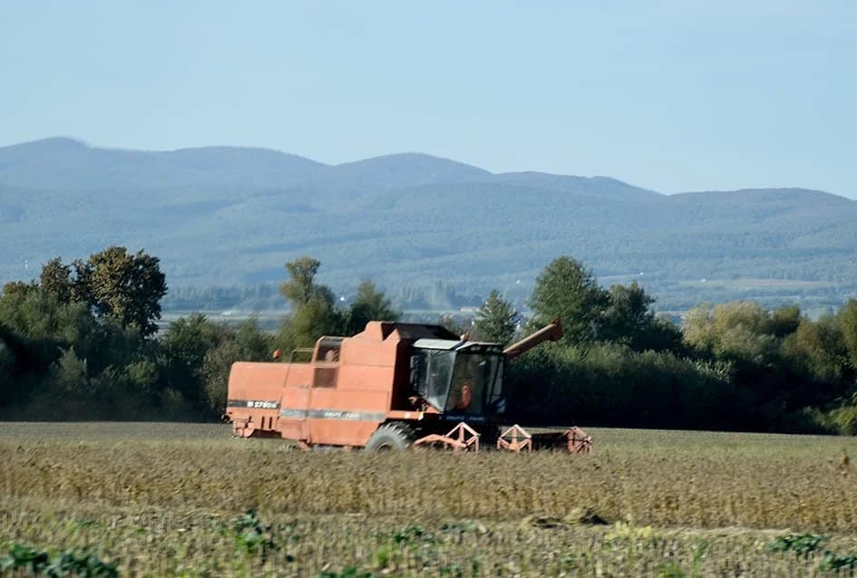 Jesenska sjetva žitarica na završetku