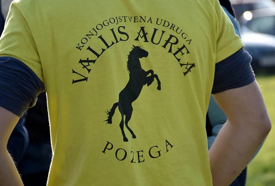 Dominirali konji Dragomira Janjića i Ilije Lujića iz Paklenice
