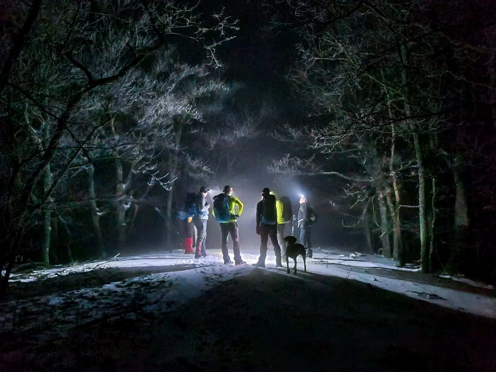 Mrak izlet na Papuk: Do Mališćaka s naglavnim svjetiljkama (FOTO)
