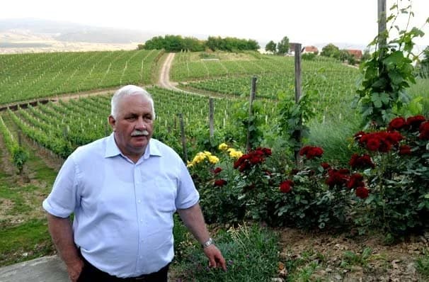 Poetski štih ruže i loze u suglasju sa prirodom koja želi nešto reći /FOTOGALERIJA/
