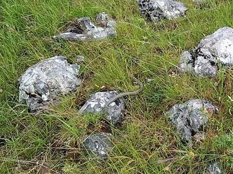 Dinari u pohode: Poskok za dobrodošlicu i prekrasni pogledi od kojih zastaje dah (FOTOGALERIJA)