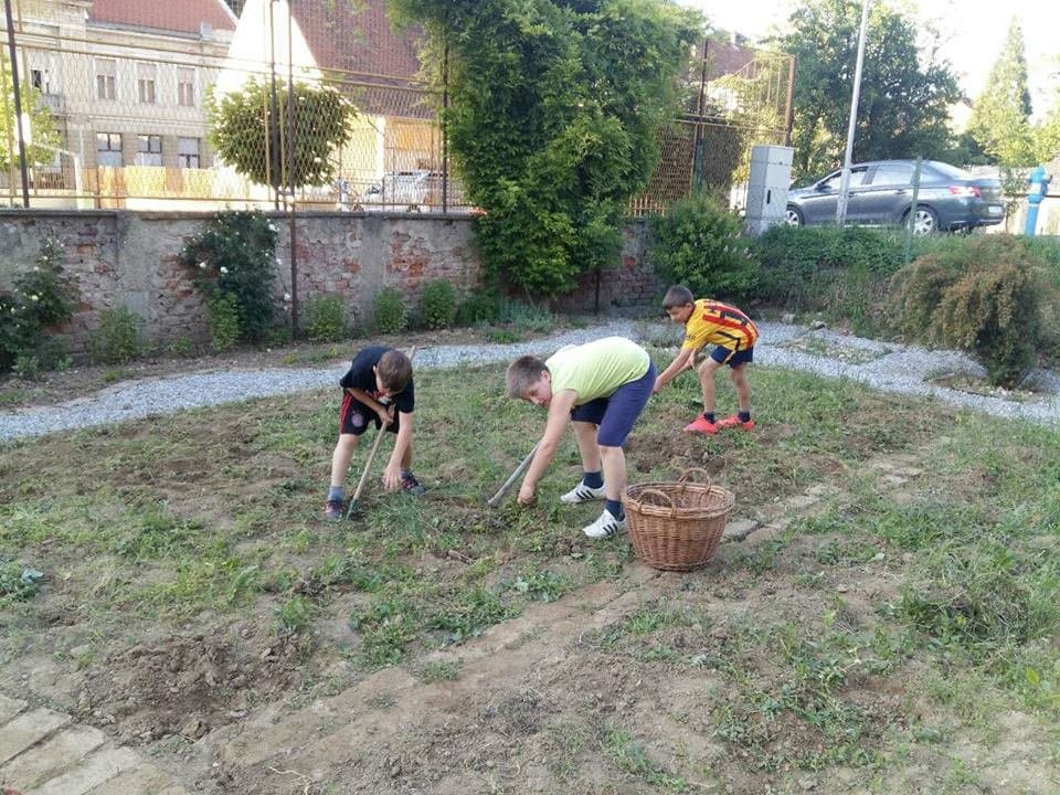 "Vrt Božje ljubavi" učenika požeške Katoličke osnovne škole: Vrijedne ručice i ovu godinu uredile vrt i zasadile biljke /FOTO/