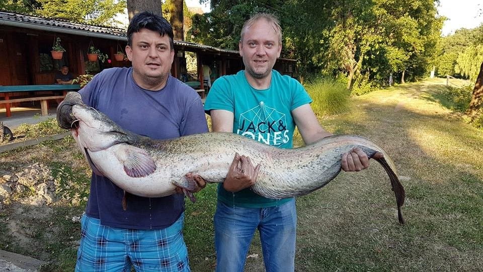 Robert Bužonja ulovio soma od 28,5 kg: To mi je "ulov života" /FOTO/