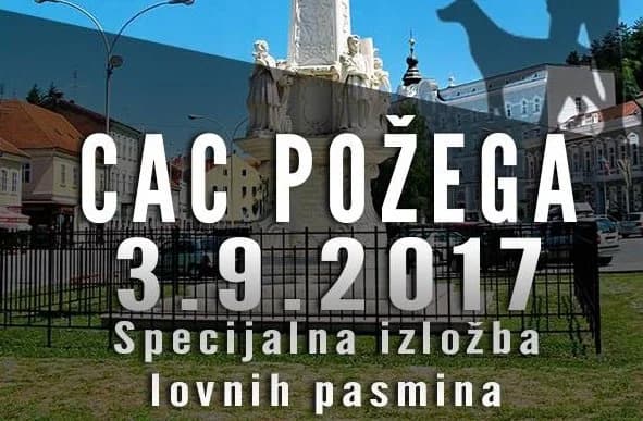 Nacionalna izložba pasa ove nedjelje uz Orljavu