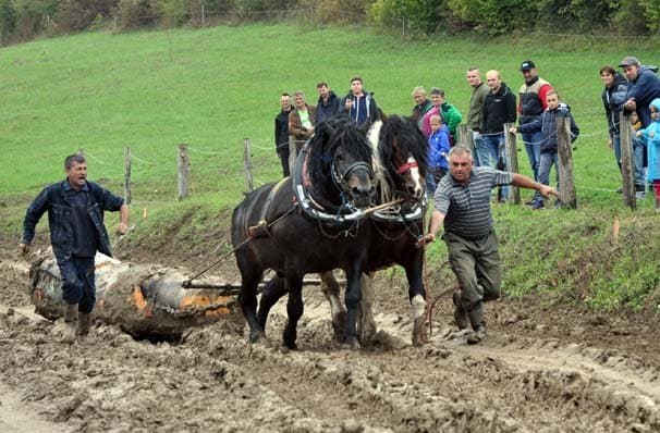 Natjecanje u šlajsanju klada /FOTOGALERIJA/