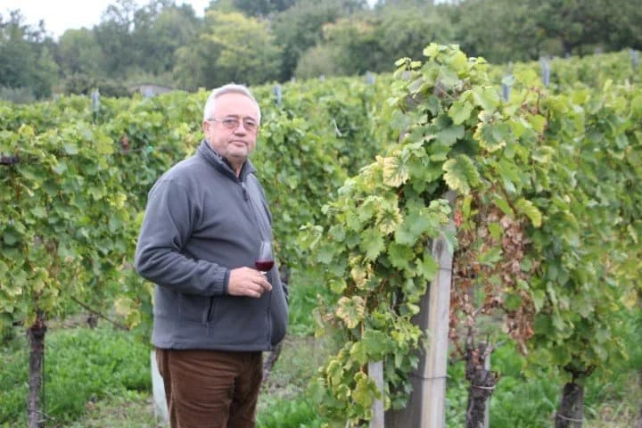 Visoko postavljena letvica: Renomirani vinar mr.sc. Branko Mihalj i ove godine očekuje zlato za svoj portugizac