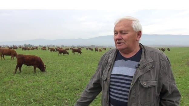 Ivan Enjingi ima vrhunska vina, ali i crvena angus goveda!