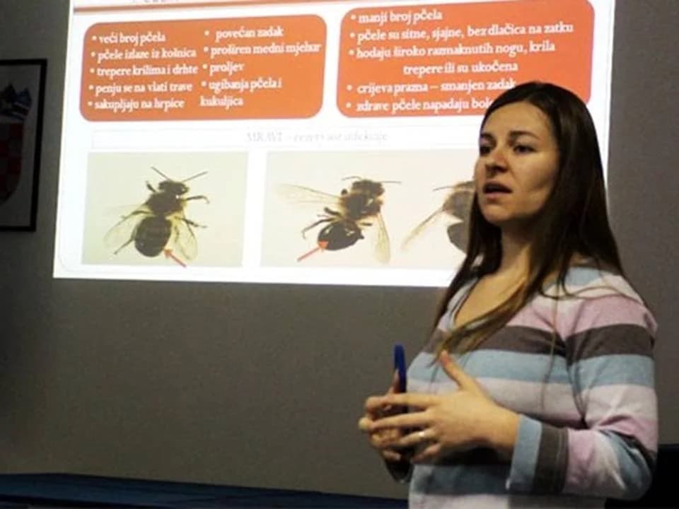 Bolesti i suzbijanje gubitaka u pčelarstvu, te suzbijanje grinje u pčelinjim zajednicama