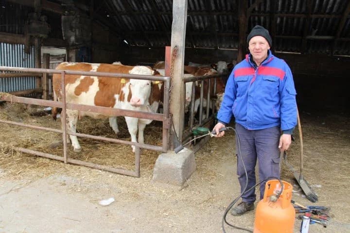 Hladni dani smanjuju količinu mlijeka: "Postavio sam cerade na otvore i tako zaštitio životinje od vjetra i hladnoće"