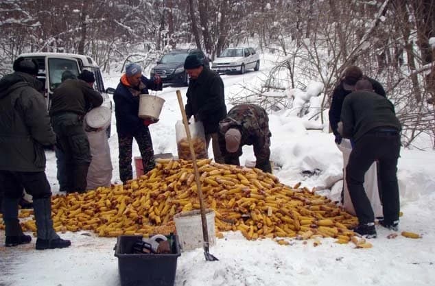 Divljači osigurana hrana unatoč dubokom snijegu /FOTOGALERIJA/