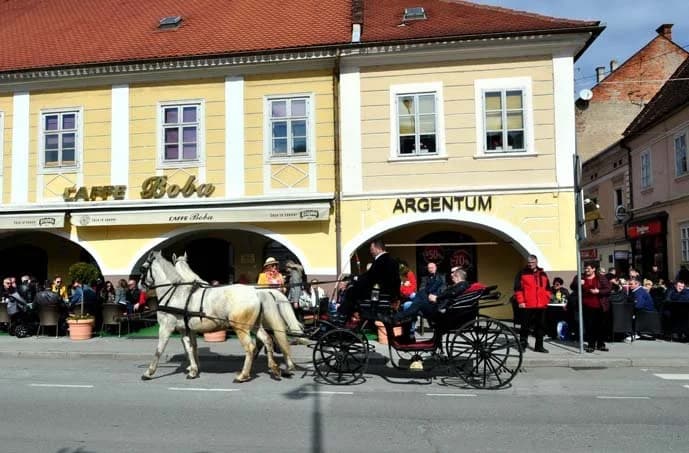 Kočija i lipicanci Antuna Bella na požeškim ulicama : Prizor iz nekad dobrih starih vremena
