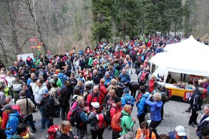 Papučki jaglaci: Planinari pozdravljaju proljeće; u šetnju Papukom krenulo ih više od 1500 (FOTO)