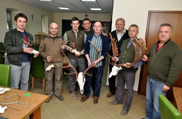 Ocjenjuje se više od 350 rogovlja i drugih trofeja, a ima i zlatnih