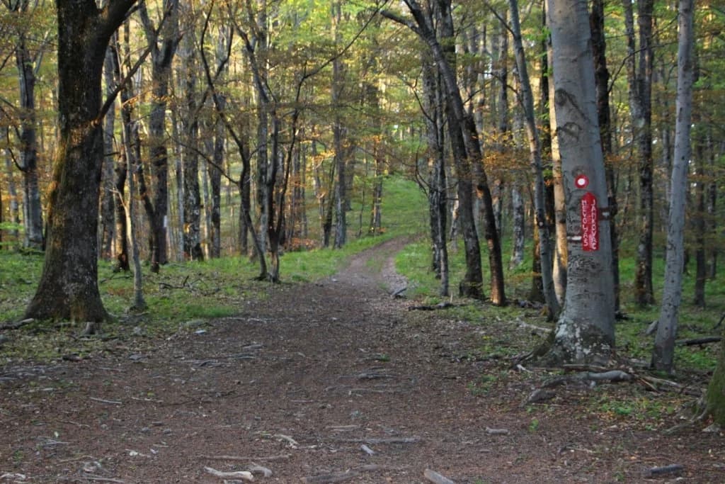 Odmor za dušu: Još nije kasno da se i vi zaljubite u prirodu koja nesebično nudi svoje ljepote, a zauzvrat ne traži gotovo ništa /FOTOGALERIJA/